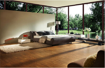 得嘉進(jìn)口仿木紋PVC地板